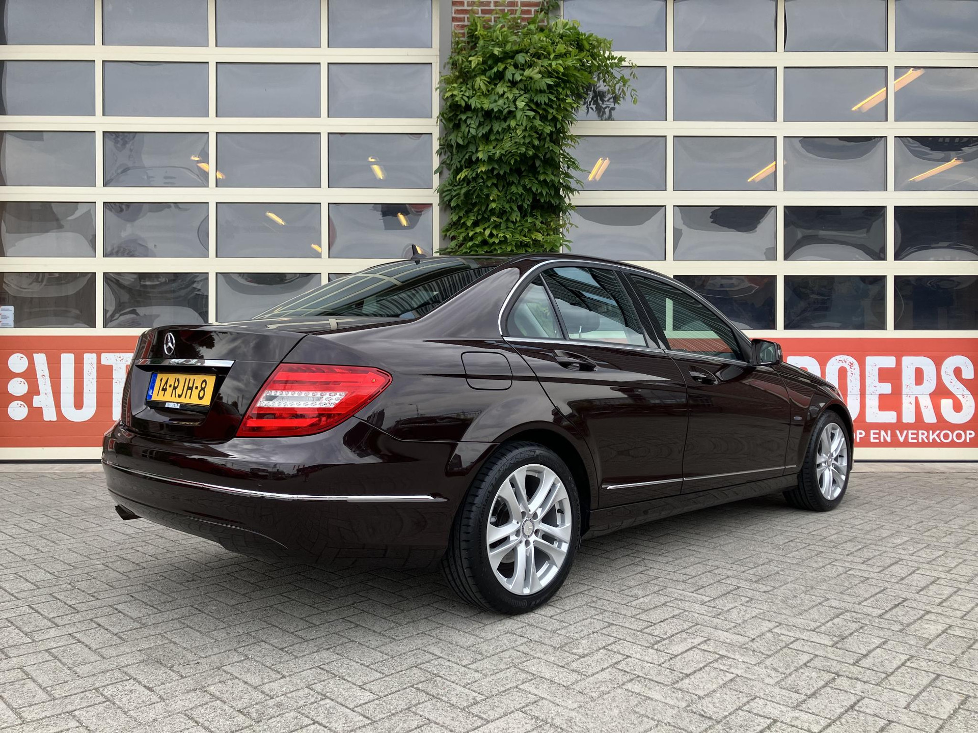 46503247-2.jpg