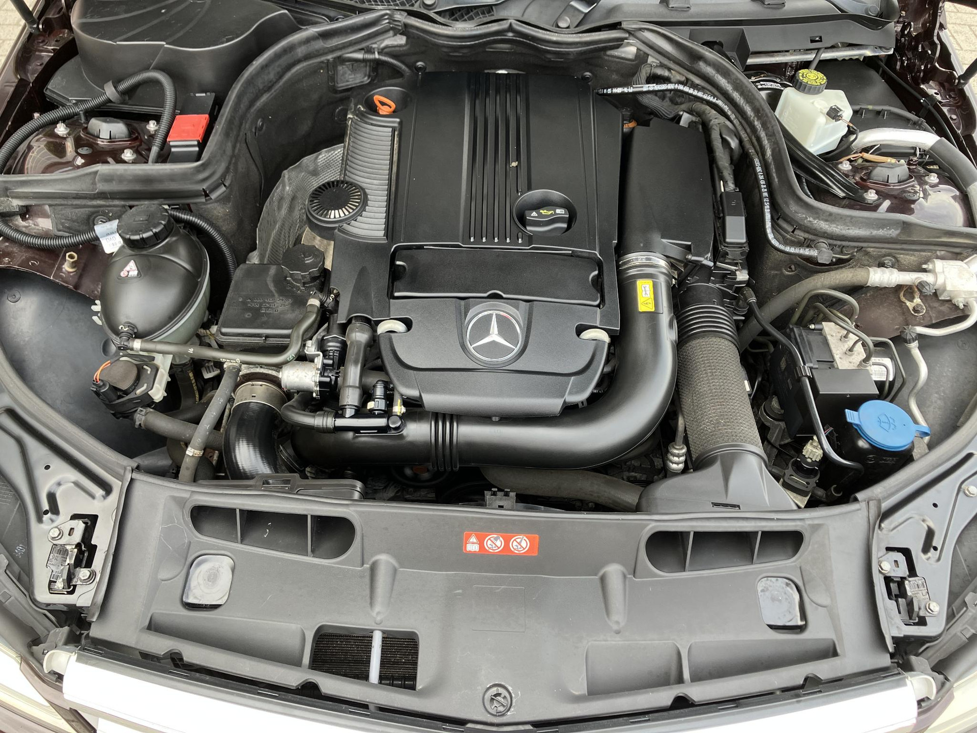 46503247-36.jpg